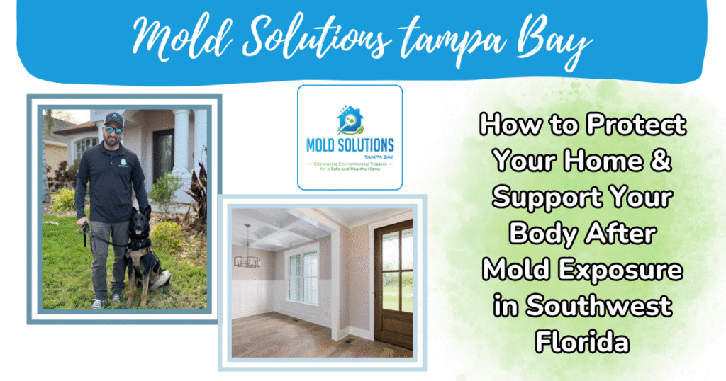 mold solutions tampa bay, rose natural wellness, article, mold exposure detox, southwest florida, nutrition for natural detox