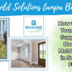mold solutions tampa bay, rose natural wellness, article, mold exposure detox, southwest florida, nutrition for natural detox