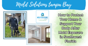 mold solutions tampa bay, rose natural wellness, article, mold exposure detox, southwest florida, nutrition for natural detox